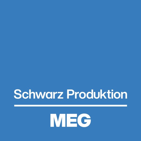 Logo MEG Neuensalz GmbH