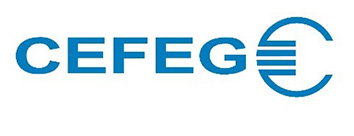 Logo CEFEG Federn- und Verbindungstechnik Chemnitz