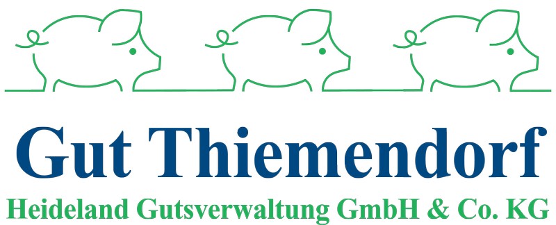 Logo Gut Thiemendorf GmbH & Co. KG